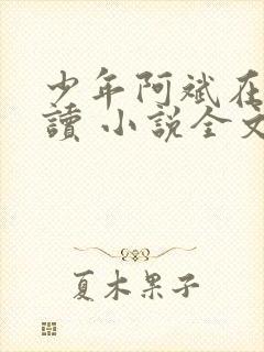少年阿斌在线阅读 小说全文免费