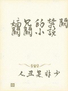 嫡兄的禁阙 华阙阙小说封面