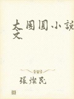 大团圆小说集全文封面