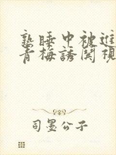 熟睡中被进了H青梅诱哄视频封面