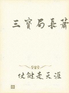 三宝局长萧燕封面