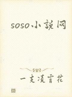 soso小说网