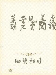 叶子风姜虞雪小说免费阅读封面