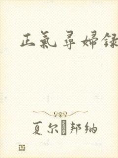 正气寻妇录