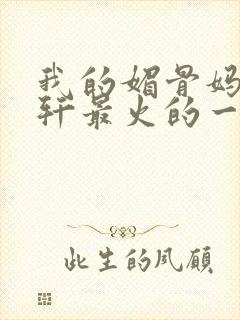 我的媚骨妈妈林轩最火的一句封面