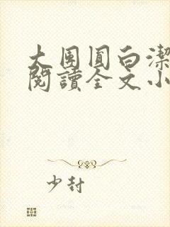 大团圆白洁免费阅读全文小说