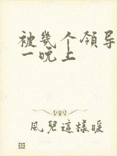 被几个领导玩弄一晚上