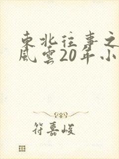 东北往事之黑道风云20年小说封面