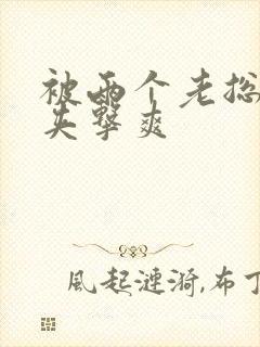 被两个老总前后夹击爽封面