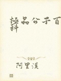 极品公子百度百科封面