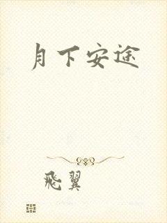 月下安途封面