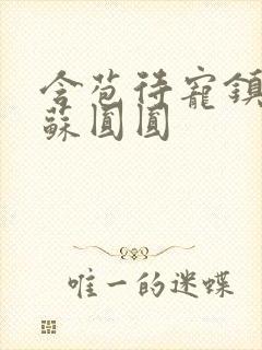 含苞待宠镇国公苏圆圆