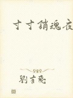 寸寸销魂夜春光