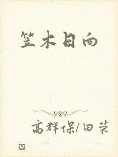笠木日向封面