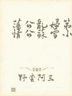 荡公乱妇第1章情公苏雪小说