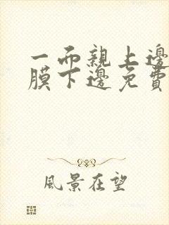 一面亲上边一面膜下边免费阅读