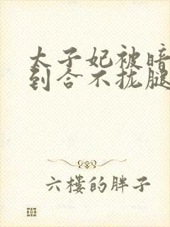 太子妃被暗卫C到合不拢腿