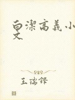 白洁高义小说全文