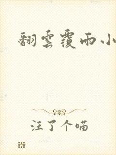 翻云覆雨小说封面