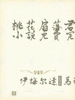 桃花扇落君不还小说免费完整版