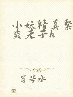 小妖精真紧h嘶爽老子h封面