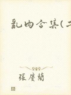 乱肉合集(二)封面