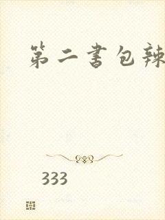 第二书包辣文