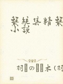 系统集精系统 小说