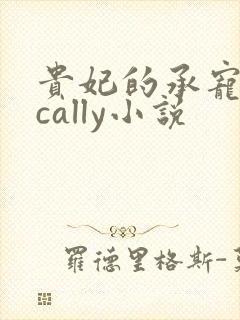 贵妃的承宠日常cally小说