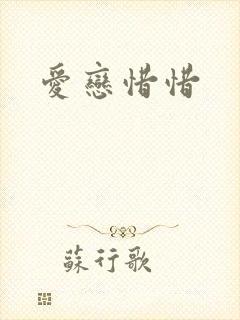 爱恋惜惜封面