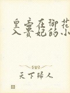 皇帝在御花园进入贵妃的小说