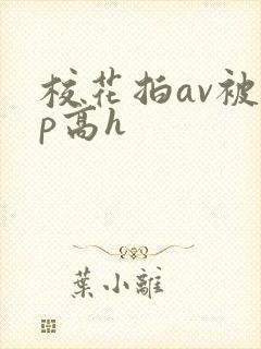 校花拍av被np高h