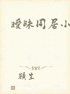 暧昧同居小说封面