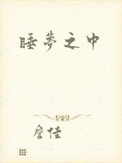 睡梦之中封面