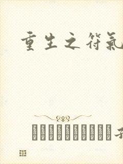 重生之符气冲天封面