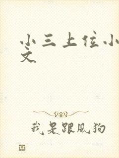 小三上位小说全文