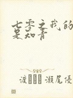 七零之我的老婆是知青封面