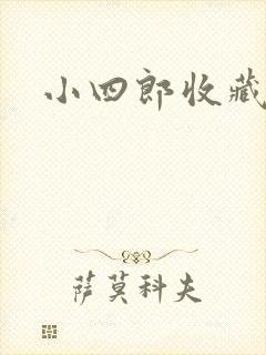 小四郎收藏家封面