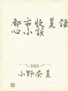 都市收美录宁素心小说