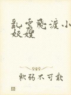 乱云飞渡小说之姣嫂