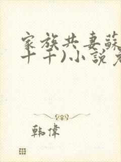 家族共妻苏苏(十千)小说免费