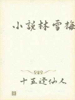 小说林雪梅