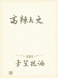 高辣h文