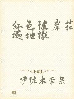 红色彼岸花花瓣遍地撒