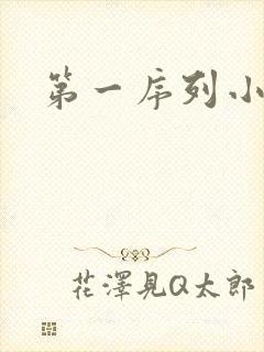 第一序列小说