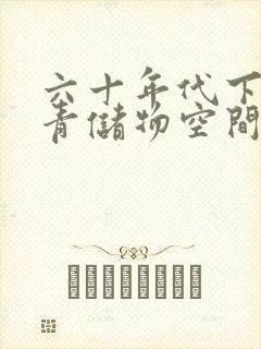 六十年代下乡知青储物空间