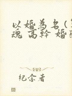 以婚为名 (军魂 高干 婚恋)
