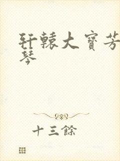 轩辕大宝芳菲雅琴