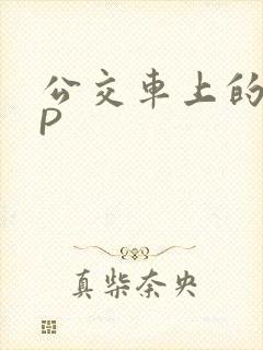 公交车上的群NP