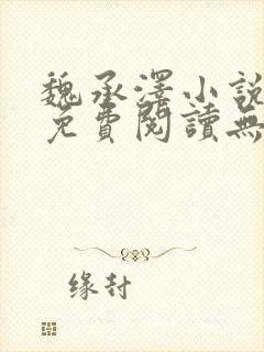 魏承泽小说全文免费阅读无弹窗笔趣